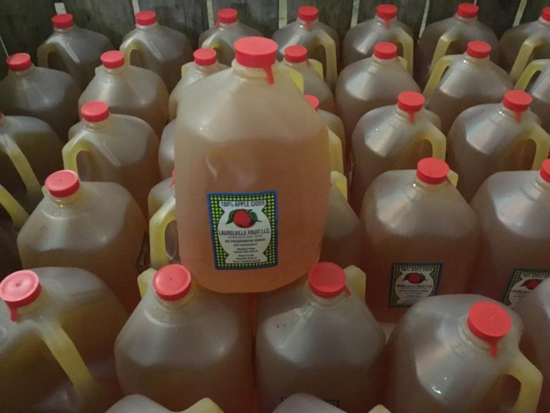 apple cider.jpg apple cider.jpg Thumbnail
