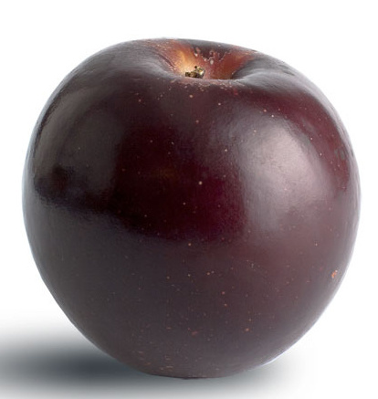 arkansas_black.jpg arkansas_black.jpg Thumbnail