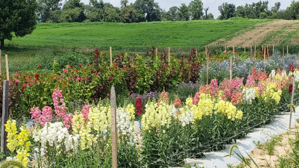 20190710_140245.jpg Thumbnail