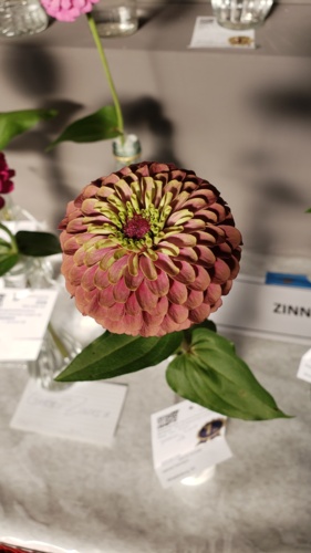 20190724_190204.jpg Thumbnail