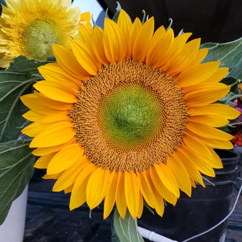 20190807_202333.jpg Thumbnail