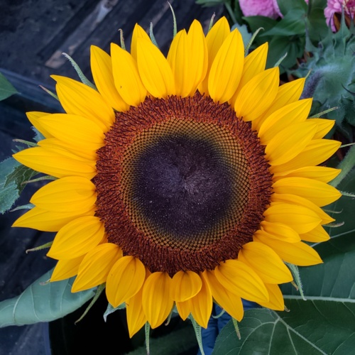 20190807_202343.jpg Thumbnail