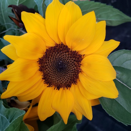 20190807_202348.jpg Thumbnail