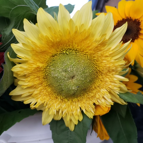 20190807_202355.jpg Thumbnail