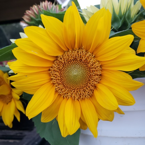 20190807_202403.jpg Thumbnail