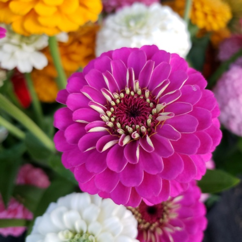 20190807_202447.jpg Thumbnail