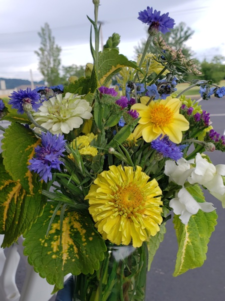 20200618_152020.jpg Thumbnail