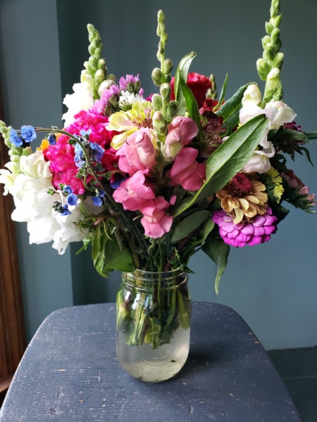 20200624_123729.jpg Thumbnail