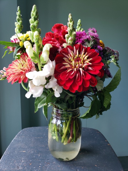 20200624_123743.jpg Thumbnail