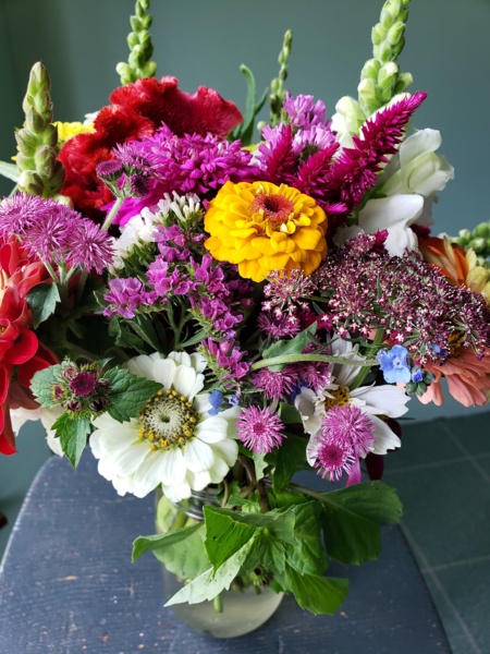 20200624_123815.jpg Thumbnail