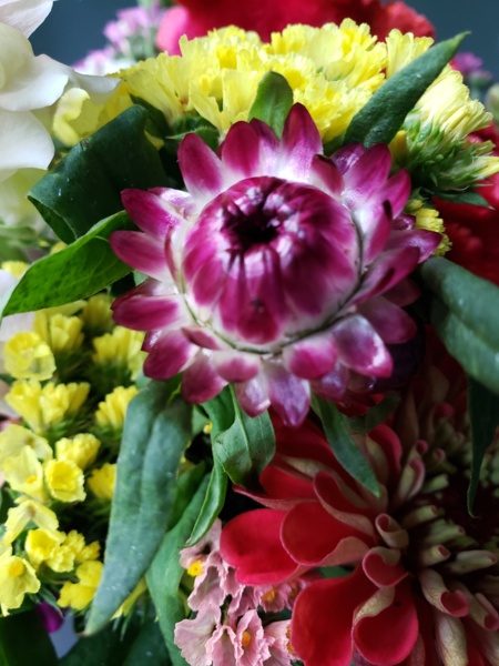 20200624_123856.jpg Thumbnail