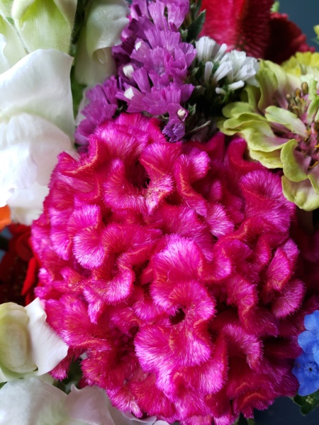 20200624_123906.jpg Thumbnail