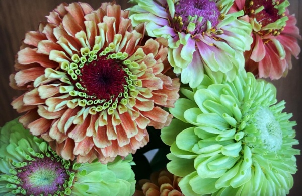 ACEDF870-4058-443B-824E-B1851186A65A.jpg Thumbnail