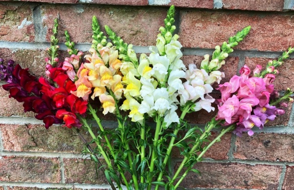 C35A3C25-BAAF-4012-8579-2110976CD23C.jpg Thumbnail