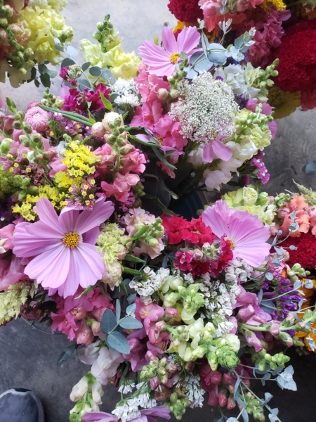 Flowers 3.jpg Thumbnail