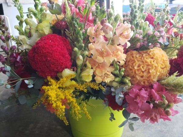 Flowers 4.jpg Thumbnail