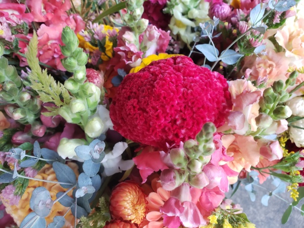 Flowers5.jpg Thumbnail