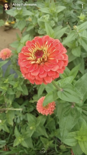 fullsizeoutput_2040.jpeg Thumbnail