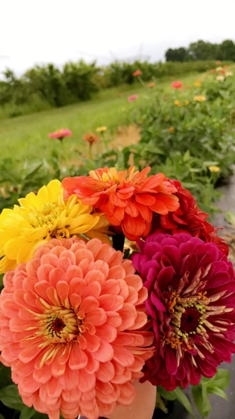 IMG_5032.JPG Thumbnail