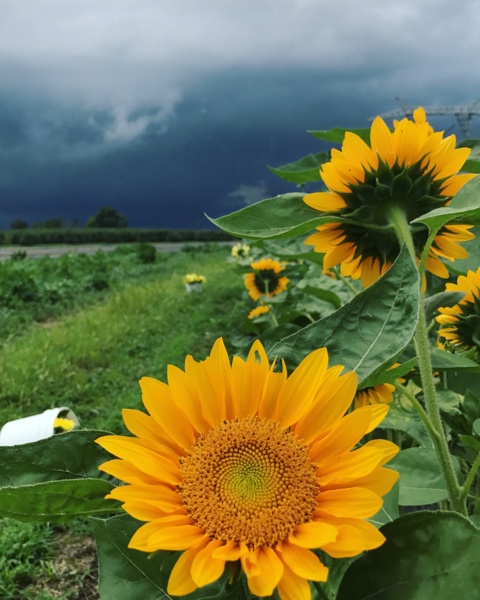 IMG_5347.JPG Thumbnail