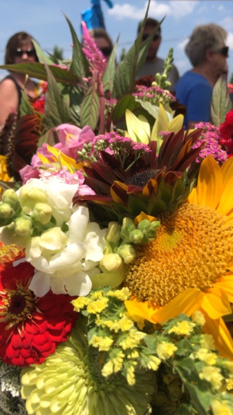 IMG_9352.JPG Thumbnail