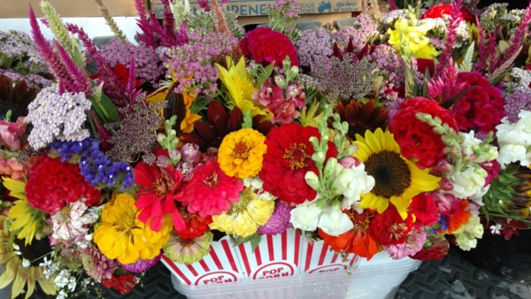 IMG_20170725_080928267.jpg Thumbnail