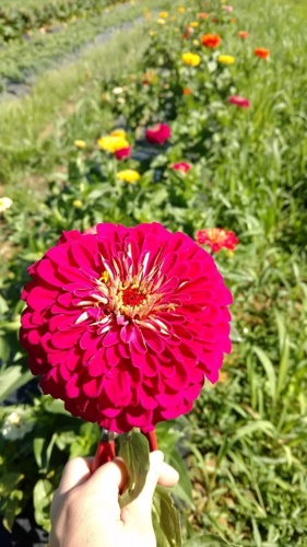 Snapchat-1881014292.jpg Thumbnail