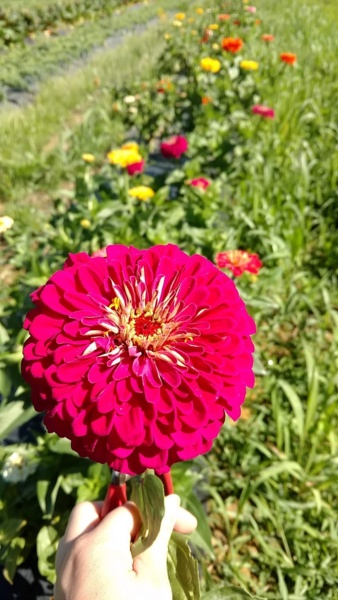 Snapchat-1881014292.jpg Thumbnail