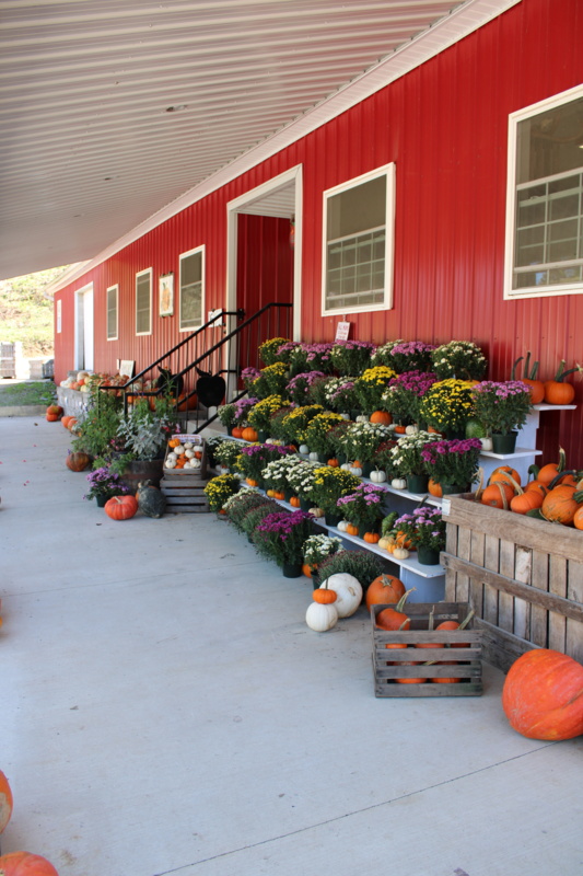 IMG_1539.JPG Thumbnail