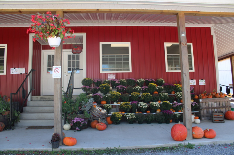 IMG_1546.JPG Thumbnail