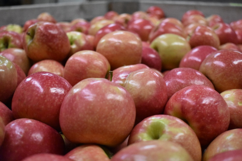 DSC_0087.JPG Thumbnail