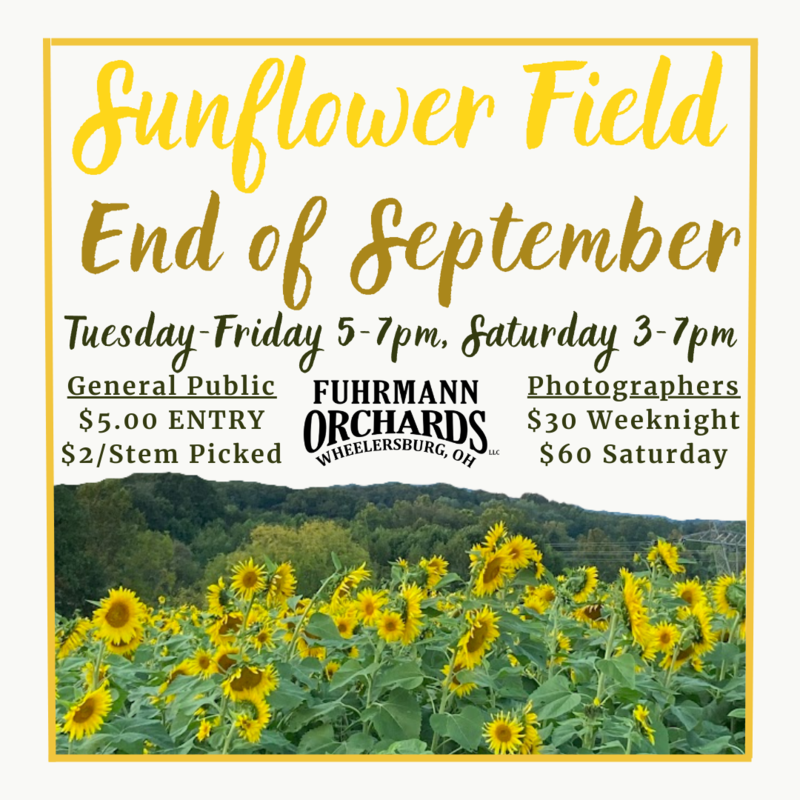 Sunflower Field OPEN Post 2023 (1).png Thumbnail